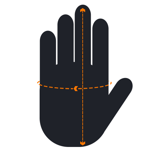 Circumference and Length of Palm Measurement Guide